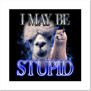 I May Be Stupid - Llama Dank Meme Posters and Art